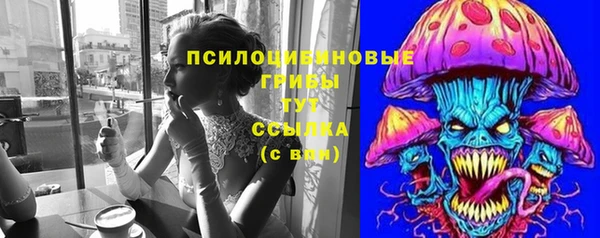 прущие грибы Нефтекумск