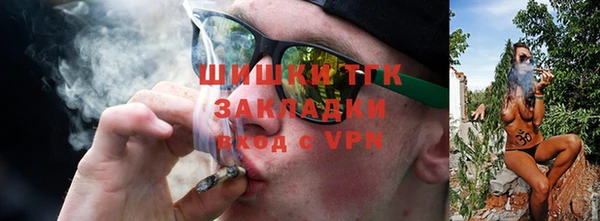 прущие грибы Нефтекумск