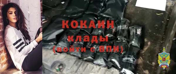прущие грибы Нефтекумск
