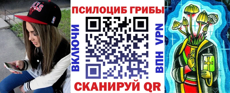 Галлюциногенные грибы Psilocybine cubensis  Иваново 